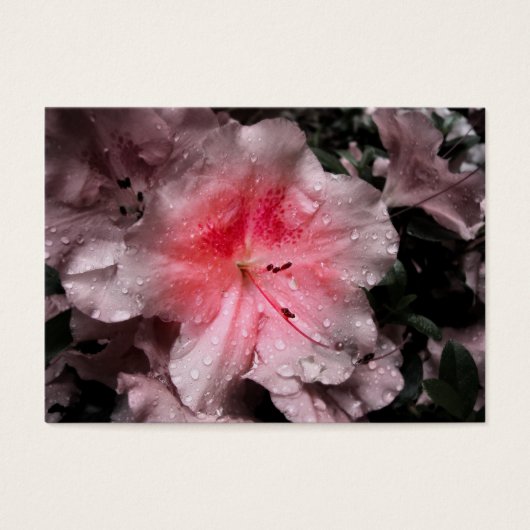 内側のグローブックマーク (正面)