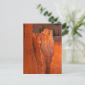 内側のグロー ポストカード (スタンド正面)