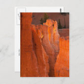 内側のグロー ポストカード (正面/裏面)