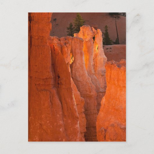 内側のグロー ポストカード (正面)