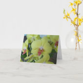 内側の庭に空白の黄色の蘭 カード (黄色い花)