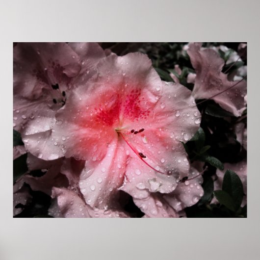 内側グロープリント ポスター (正面)