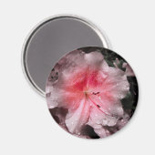 内側グローマグネット マグネット (正面/裏面)