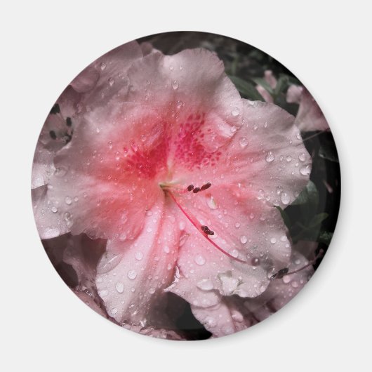 内側グローマグネット マグネット (正面)