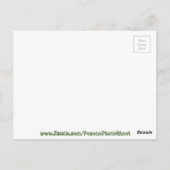 内側モザイクのグラフィティ ポストカード (裏面)