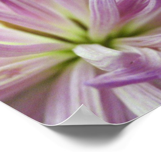 内側 ポスター (角)