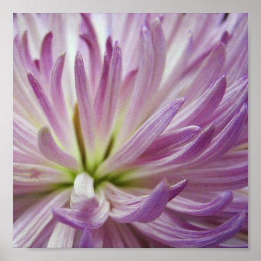 内側 ポスター (正面)