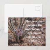 内側 ポストカード (正面/裏面)