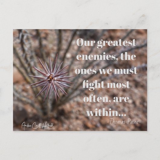 内側 ポストカード (正面)