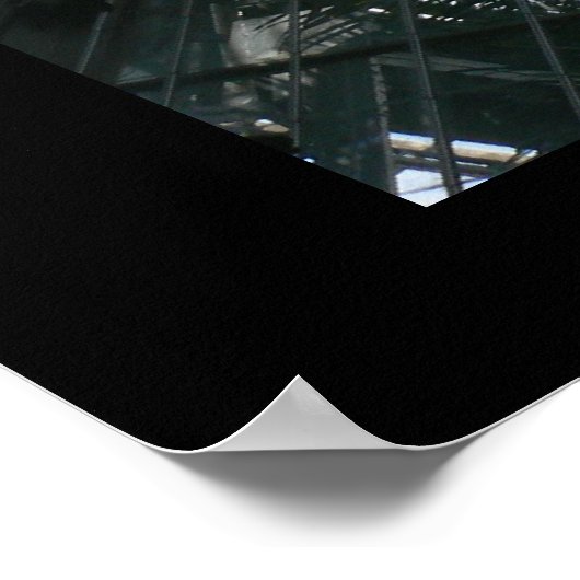 内側(温室天井) ポスター (角)