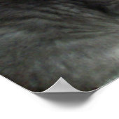 内向的!子猫ポスター ポスター (角)