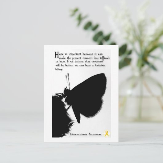 内望 ポストカード (スタンド正面)