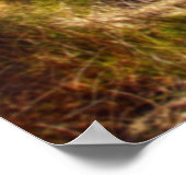 内来安 ポスター (角)