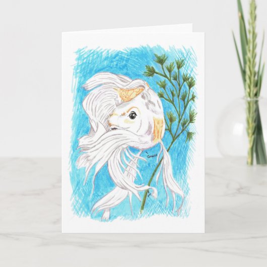 内気なまたはコイ空白のなカード カード (正面)