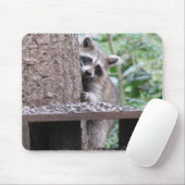 内気なアライグマのマウスパッド マウスパッド (マウス)