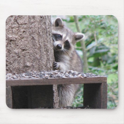 内気なアライグマのマウスパッド マウスパッド (正面)