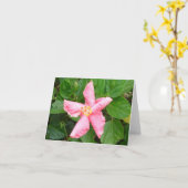 内気なハイビスカス カード (黄色い花)