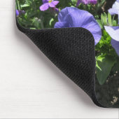 内気な紫色のパンジー マウスパッド (コーナー)