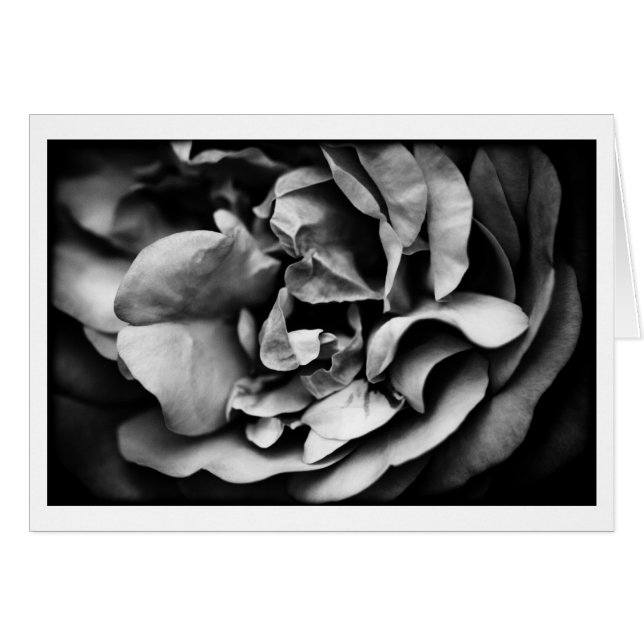 内的生命の膨張 (正面横)