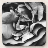 内的生命の膨張 コースター (正面)