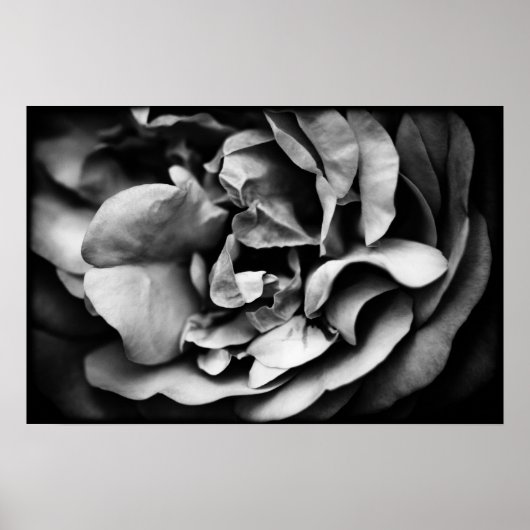 内的生命の膨張 ポスター (正面)