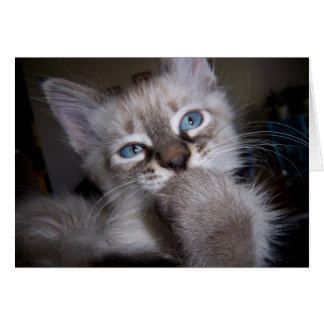 内省的な思想家