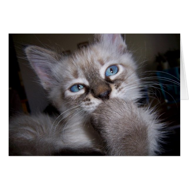 内省的な思想家 (正面横)