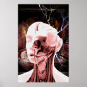 内省的な ポスター (正面)