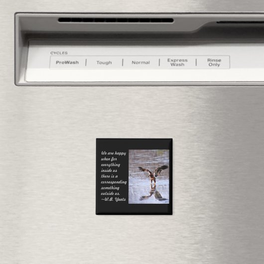 内省 マグネット (インサイチュ (食洗機))