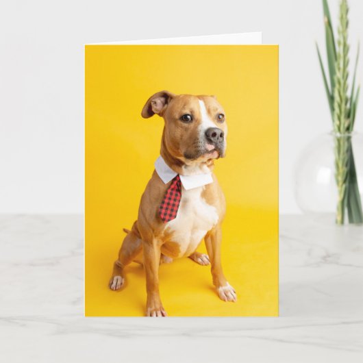 内空白の部カード カード (正面)