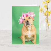 内空白の部カード カード (黄色い花)