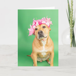 内空白の部カード カード