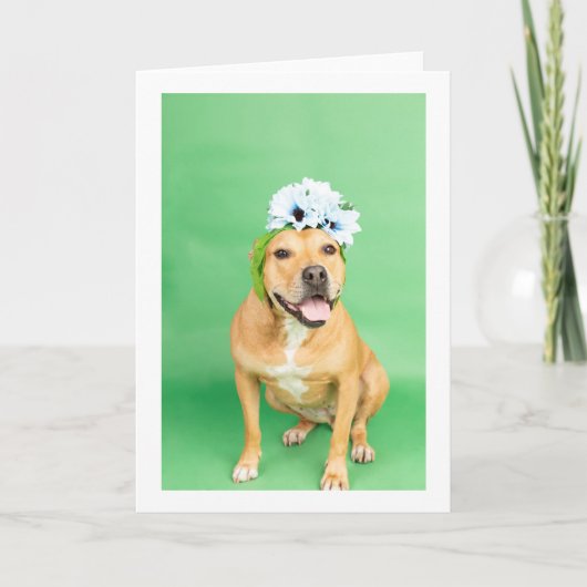 内空白の部カード カード (正面)