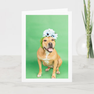 内空白の部カード カード