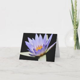 内空白の部カード#7 00700 カード