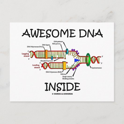 内素晴らし部DNA ポストカード (正面)