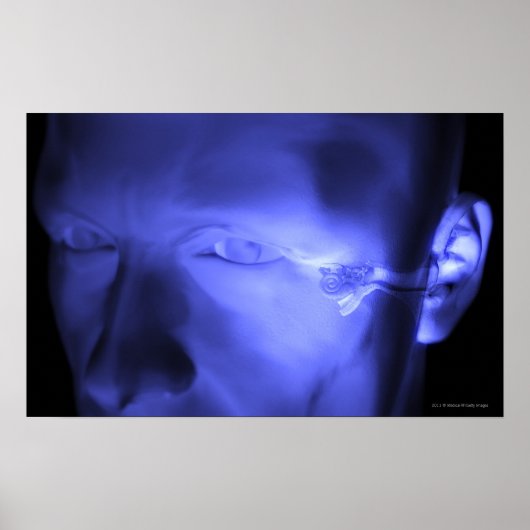 内耳の前面 ポスター (正面)