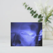 内耳の前面 ポストカード (スタンド正面)