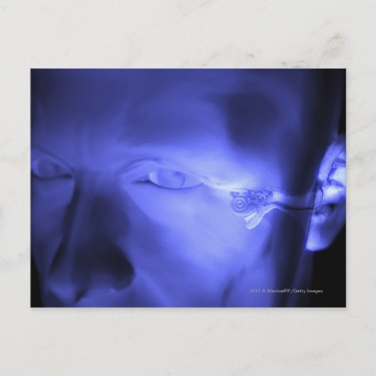 内耳の前面 ポストカード (正面)