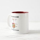 内臓および栄光は私の存在の部分です ツートーンマグカップ (正面左)