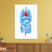 内臓のX線像(ハート) キャンバスプリント (インサイチュ (リビング))