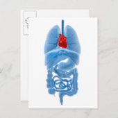 内臓のX線像(ハート) ポストカード (正面/裏面)
