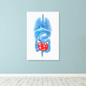 内臓のX線画像 キャンバスプリント (インサイチュ (ウッドフロア))