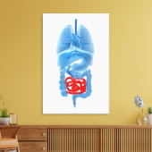 内臓のX線画像 キャンバスプリント (インサイチュ (リビング))