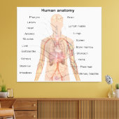 内臓人間の体解剖図 キャンバスプリント (インサイチュ (リビング))
