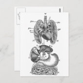 内臓 ポストカード (正面/裏面)