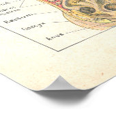 内臓・腹部解剖学ポスフランスのター ポスター (角)