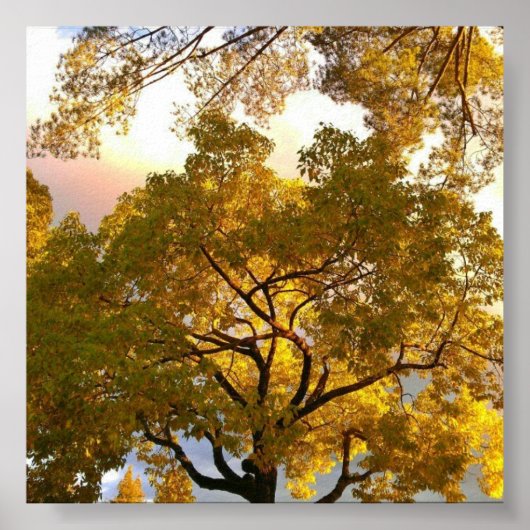 内部で点灯 ポスター (正面)