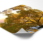 内部で点灯 ポスター (角)