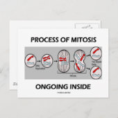 内部で進行する有糸分裂の過程 ポストカード (正面/裏面)